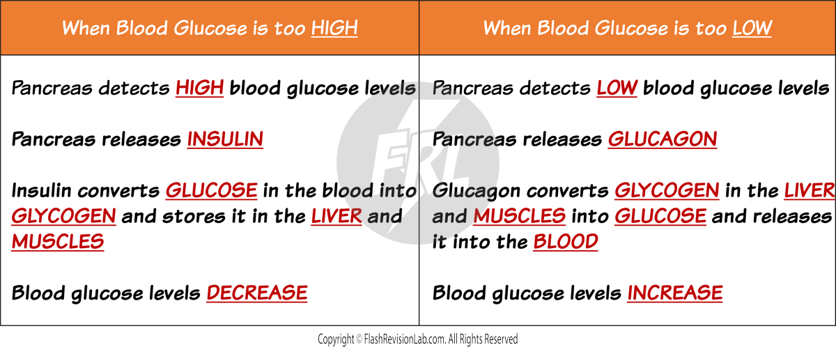 Blood Glucose